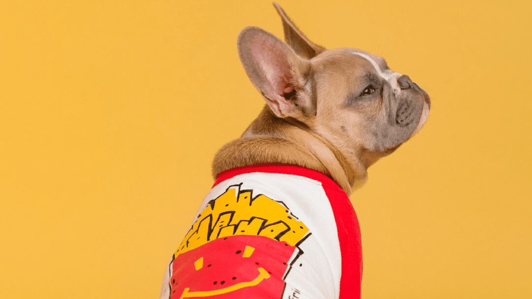 Can Dogs Eat Pepperoni? How about Salami?