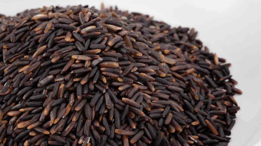 Dogs Eat Black Rice
