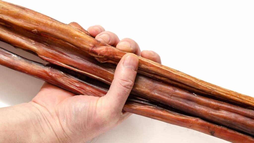 Why Do Dogs Like Bully Sticks